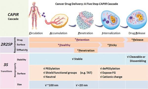 2017上半年生物材料前沿技术在医疗科学的应用研究(二)_上海硅酸盐