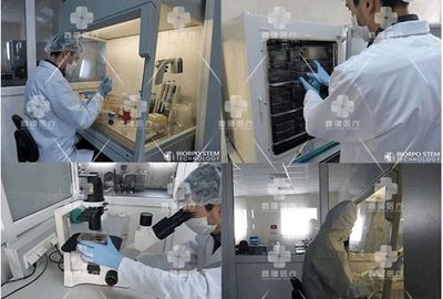 鑫曙医疗科技乌克兰斯塔姆生物技术研究中心