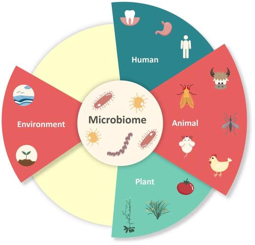 人体微生物组研究正在以颠覆性技术的姿态显现出对经济社会发展,医疗